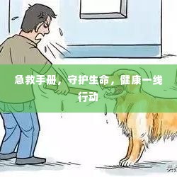 急救手册，守护生命，健康一线行动