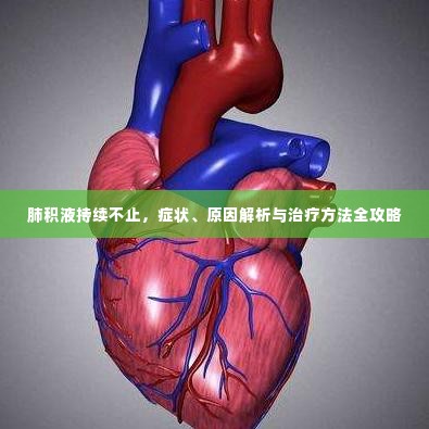 肺积液持续不止，症状、原因解析与治疗方法全攻略
