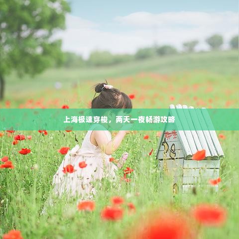 上海极速穿梭，两天一夜畅游攻略
