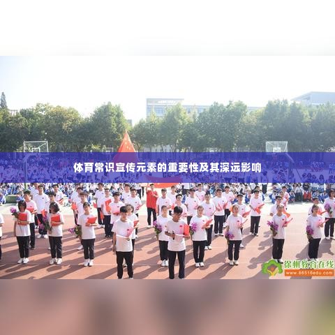 体育常识宣传元素的重要性及其深远影响