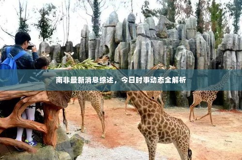 南非最新消息综述，今日时事动态全解析
