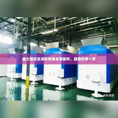 威士酒店洗涤价格表全面解析,最新价格一览
