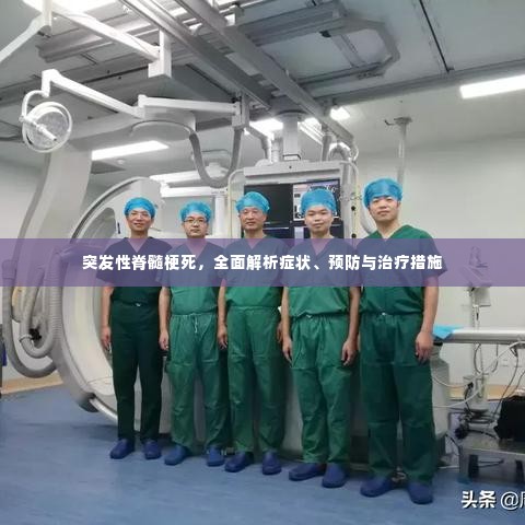 突发性脊髓梗死，全面解析症状、预防与治疗措施