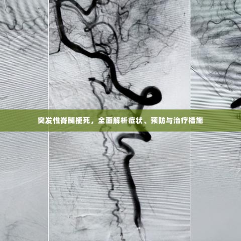突发性脊髓梗死,全面解析症状、预防与治疗措施