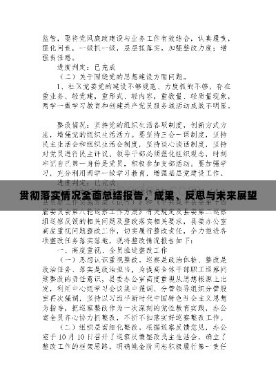 贯彻落实情况全面总结报告,成果、反思与未来展望