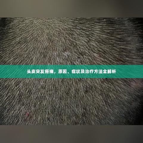 头皮突发疼痛,原因、症状及治疗方法全解析