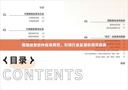 南通微型软件标准规范,引领行业发展的规范指南