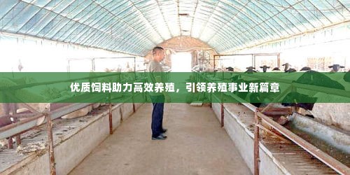 优质饲料助力高效养殖,引领养殖事业新篇章