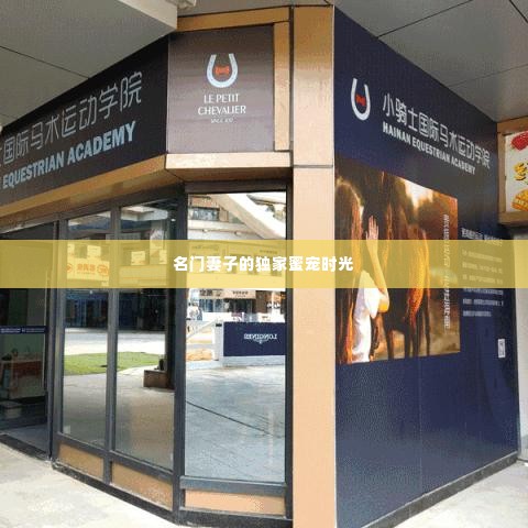 名门妻子的独家蜜宠时光