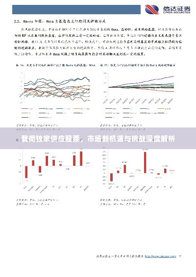 载荷独家供应股票，市场新机遇与挑战深度解析