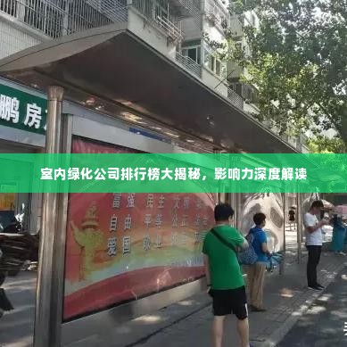 室内绿化公司排行榜大揭秘，影响力深度解读
