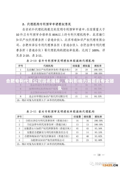 合肥专利代理公司排名揭秘，专利影响力背后的专业团队