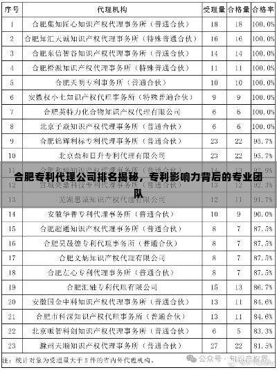 合肥专利代理公司排名揭秘,专利影响力背后的专业团队