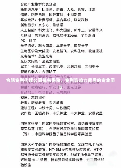 合肥专利代理公司排名揭秘,专利影响力背后的专业团队