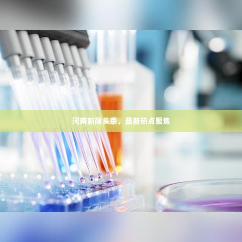 河南新闻头条,最新热点聚焦