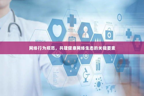 网络行为规范,共建健康网络生态的关键要素