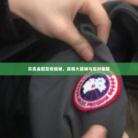 贝壳虚假宣传揭秘，真相大揭秘与应对策略