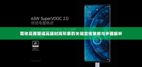 蔻驰品牌塑造高端时尚形象的关键宣传策略与步骤解析