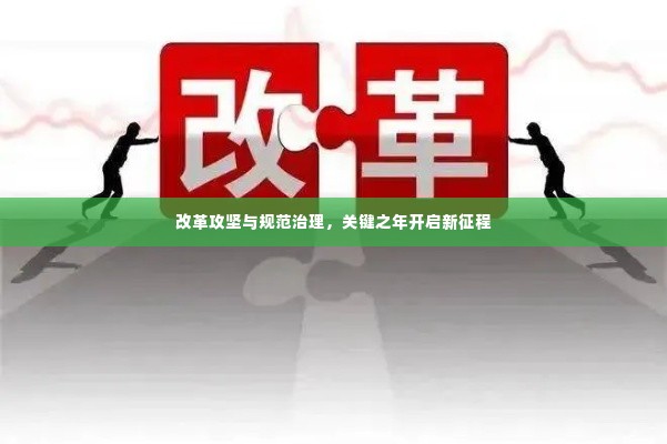 改革攻坚与规范治理,关键之年开启新征程