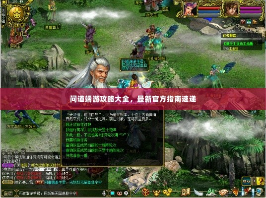 问道端游攻略大全,最新官方指南速递