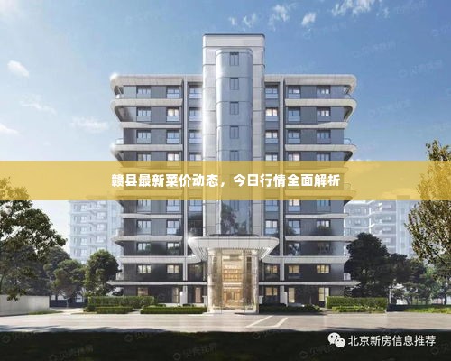 赣县最新菜价动态,今日行情全面解析