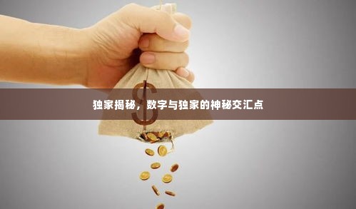 独家揭秘,数字与独家的神秘交汇点