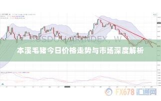 本溪毛猪今日价格走势与市场深度解析