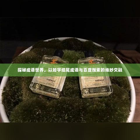 探秘成语世界,以如字结尾成语与百度搜索的绝妙交融