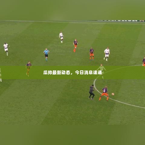 瓜帅最新动态，今日消息速递