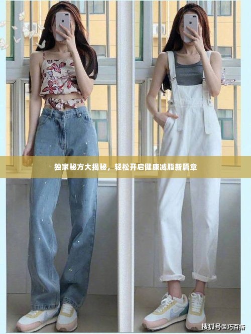 独家秘方大揭秘,轻松开启健康减脂新篇章