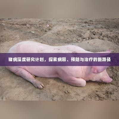 猪病深度研究计划,探索病因、预防与治疗的新路径