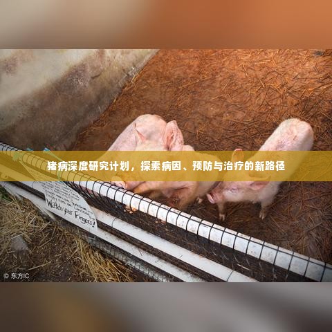 猪病深度研究计划，探索病因、预防与治疗的新路径