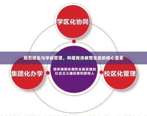 规范招生与学籍管理,构建有序教育生态的核心要素