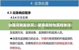 白莲河突发状况,紧急应对与实时关注