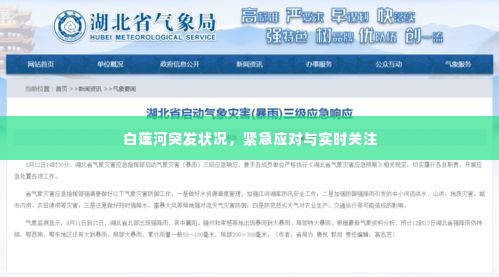 白莲河突发状况,紧急应对与实时关注