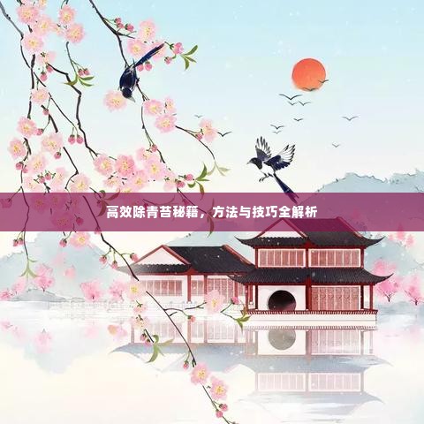高效除青苔秘籍，方法与技巧全解析