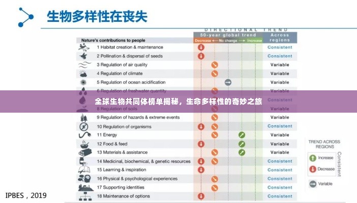 全球生物共同体榜单揭秘,生命多样性的奇妙之旅