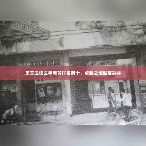 来宾卫校医学教育排名前十，卓越之地深度探寻