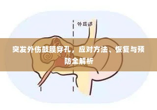 突发外伤鼓膜穿孔,应对方法、恢复与预防全解析