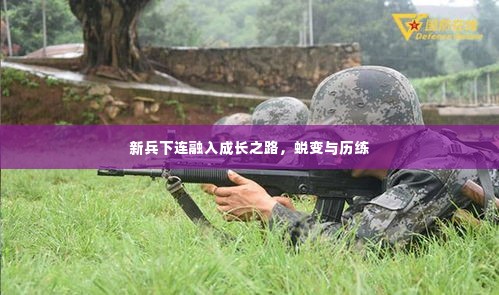 新兵下连融入成长之路，蜕变与历练