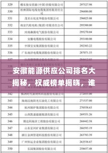 安徽能源供应公司排名大揭秘，权威榜单揭晓，谁居榜首？