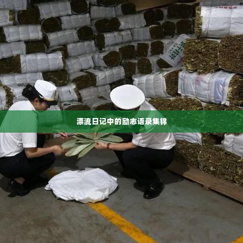 漂流日记中的励志语录集锦