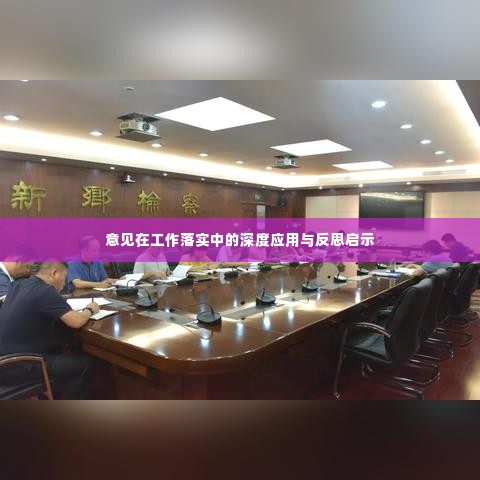 意见在工作落实中的深度应用与反思启示