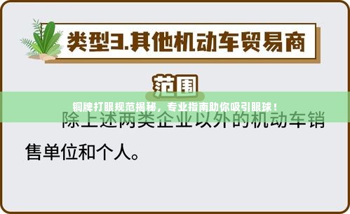 铜牌打眼规范揭秘，专业指南助你吸引眼球！