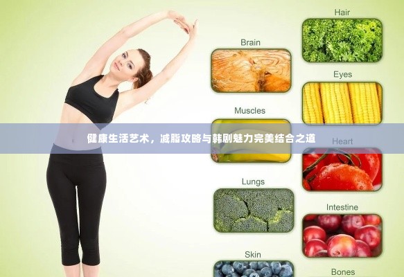 健康生活艺术,减脂攻略与韩剧魅力完美结合之道
