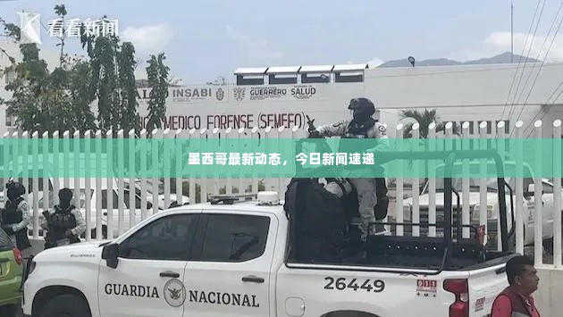 墨西哥最新动态，今日新闻速递