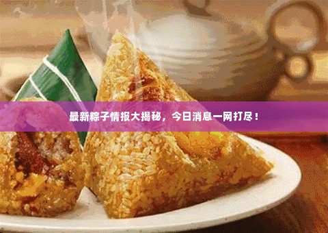 最新粽子情报大揭秘，今日消息一网打尽！