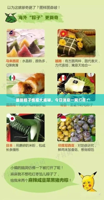 最新粽子情报大揭秘,今日消息一网打尽!