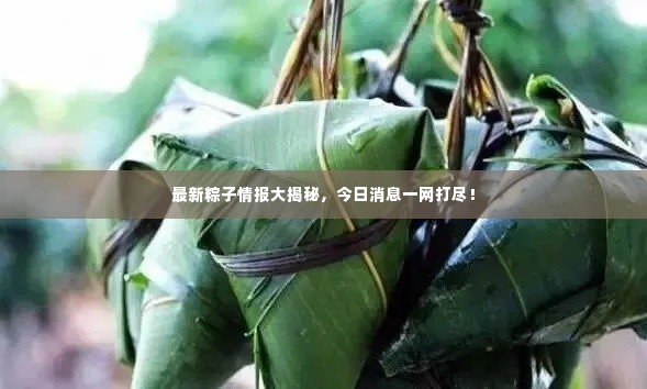最新粽子情报大揭秘,今日消息一网打尽!