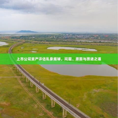 上市公司资产评估乱象揭秘,问题、原因与改进之道